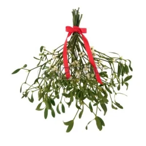 10994157-mistletoe-with-berries-and-tied-with-a-red-ribbon-with-bow-isolated-over-white-background